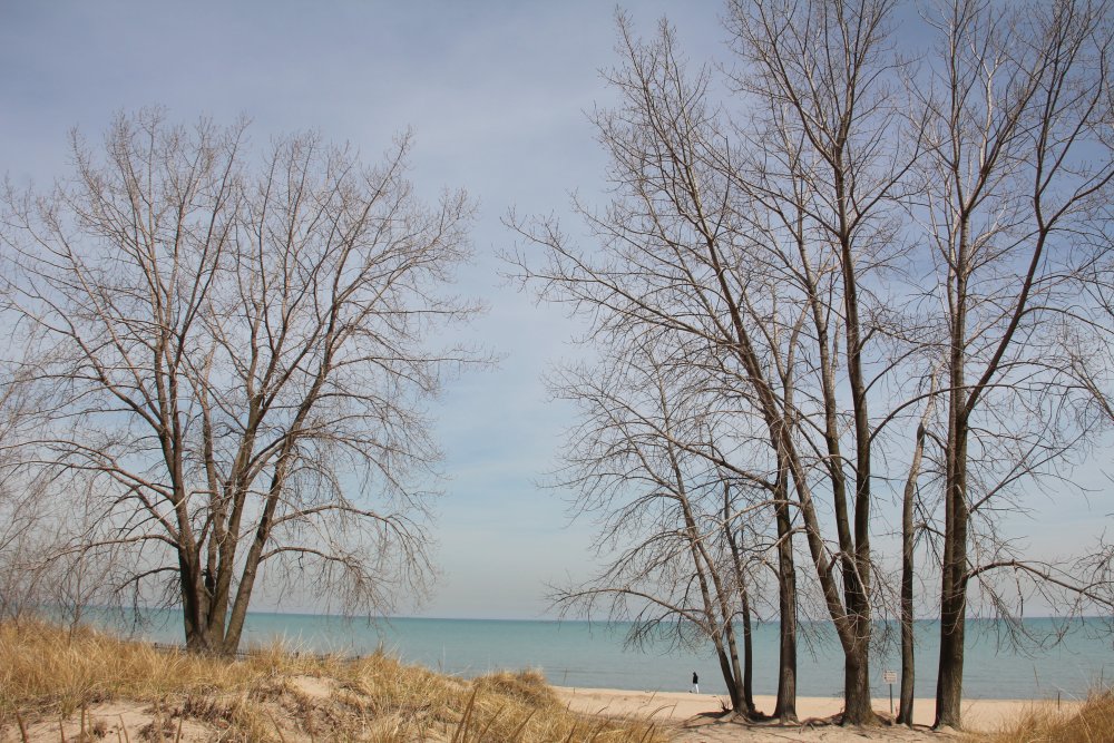 A Peaceful Day at Lake Michigan